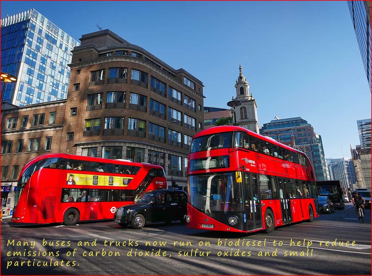 bus running on biofuel